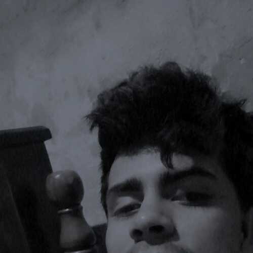 Olivasste656