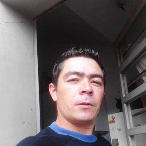 YoniP20