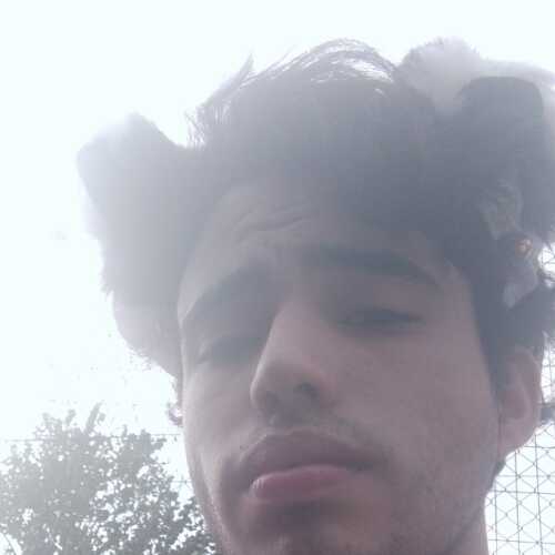 DiegoArayaJara