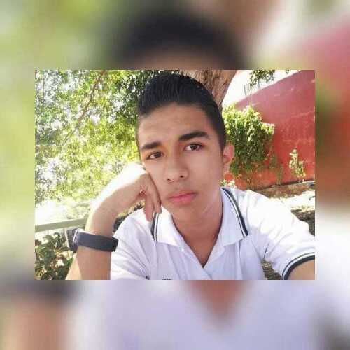 Dilan331