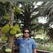 ShaakDhaka
