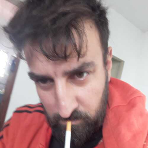 sanjoseoliv131