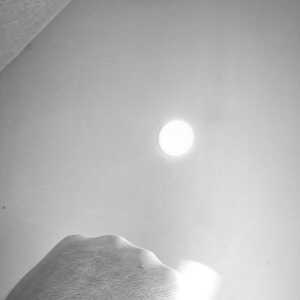 AffectionateMentor97d6e4