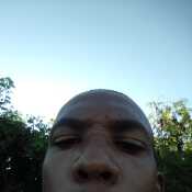 galin22