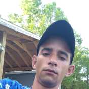 andyseg300