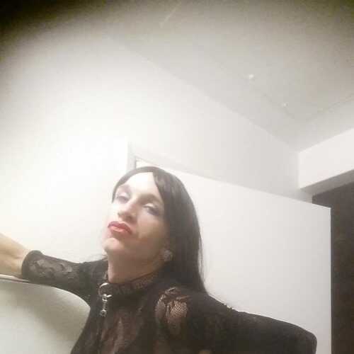 Trinityilyanarose