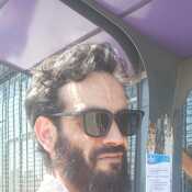 manz184