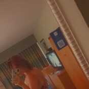 Abbi2721