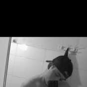 MaxJH14