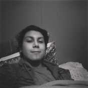 alequin22