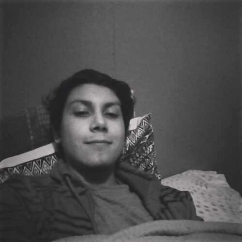 alequin22