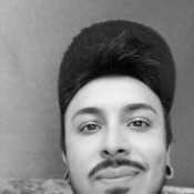 fankodavid