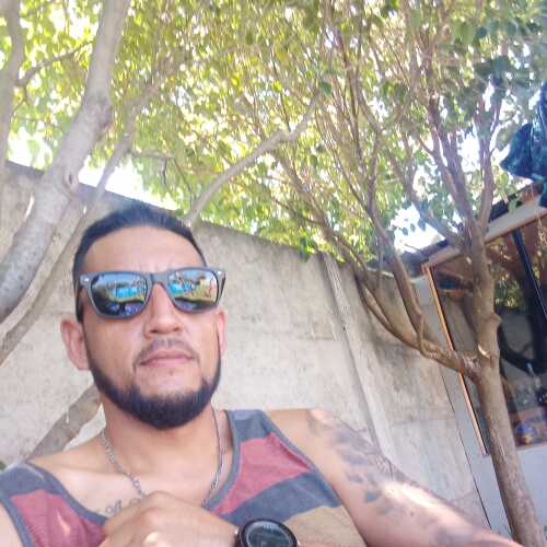 willia873
