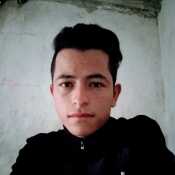 eaalva271