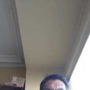 tetrixchile67