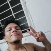 Anser1210