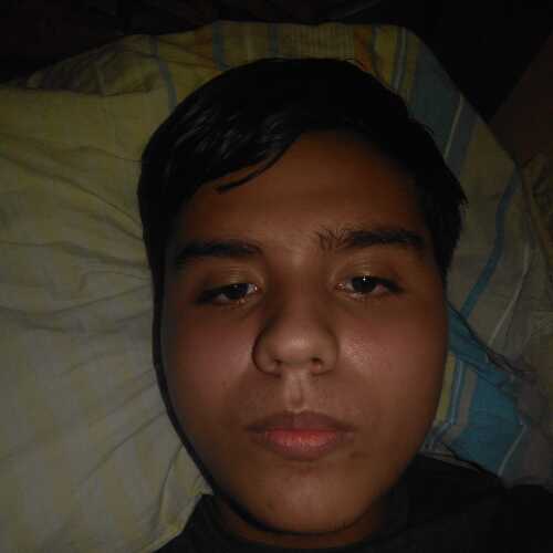 brianchoeln356