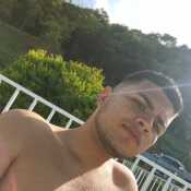 david