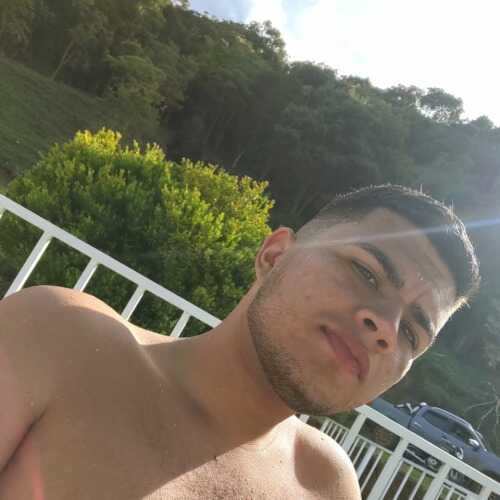 david