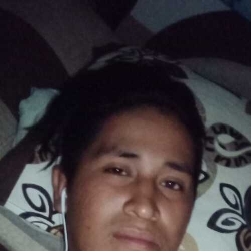 franciscomal677