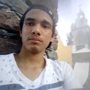david67