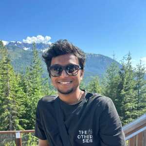 StunningTravelerbbedca