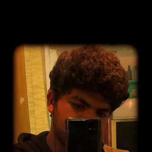 ankitsin265