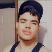 Orlandoisaias