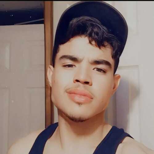 Orlandoisaias