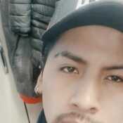 adans486