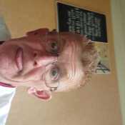 ginger291