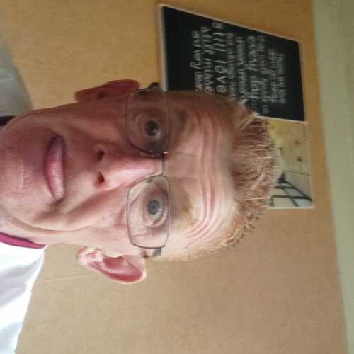 ginger291
