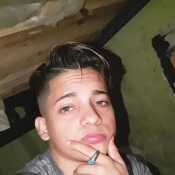 David9100vtkwg