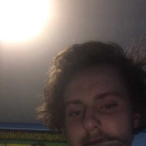 Furby11