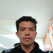 91devid