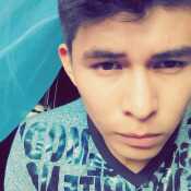 reych781