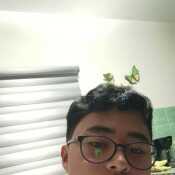 diegoc