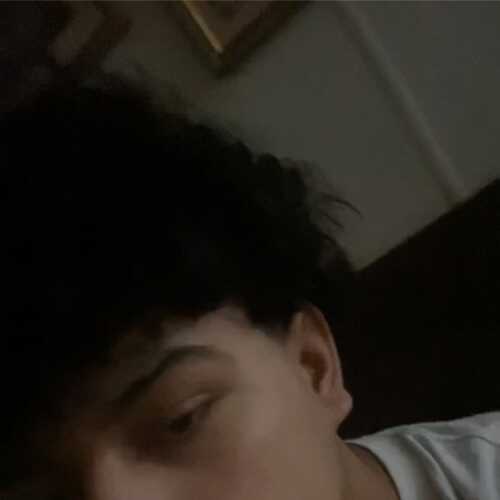 BDalex