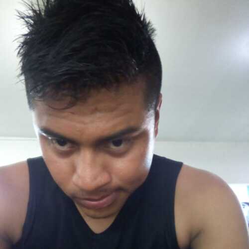 Bayper205