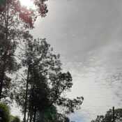 Josel7297