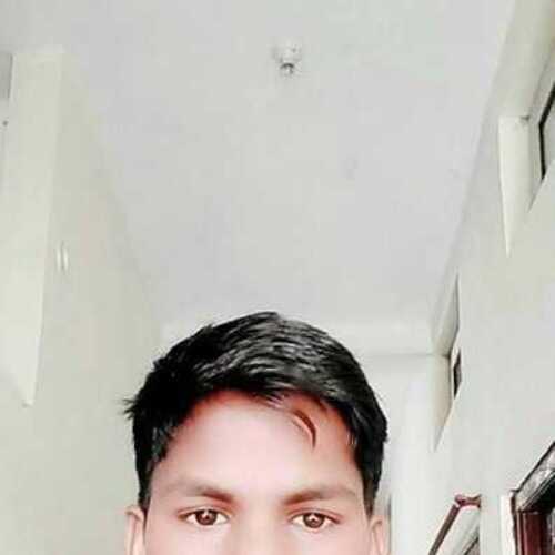 Golu219