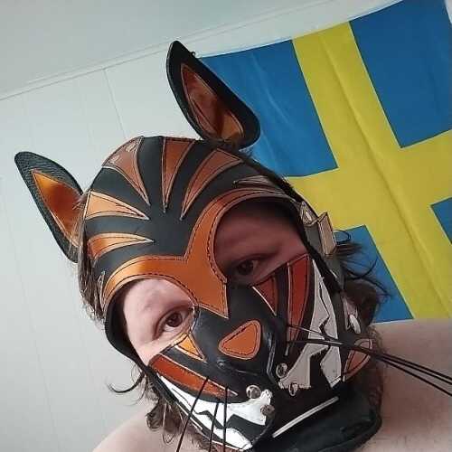 Subkittyboi
