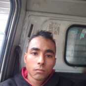 elver54