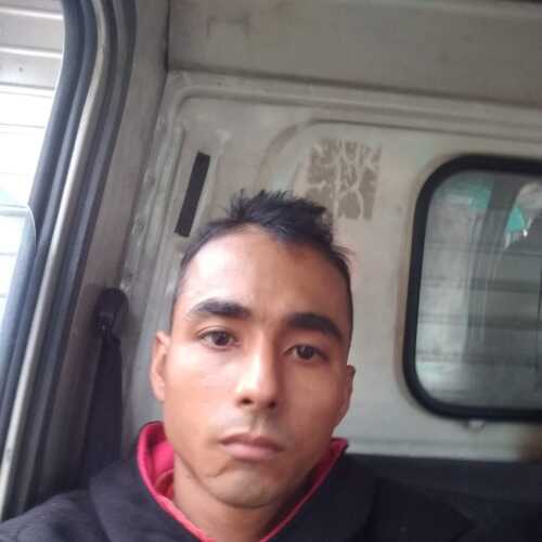 elver54