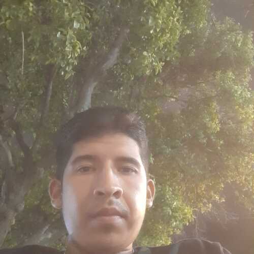 Luismii