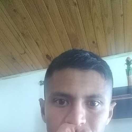 cris1991