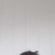Davidb559