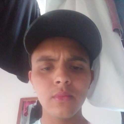 Dani7Pereira