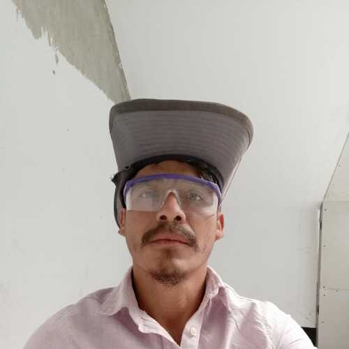 Davidisauazucenas186
