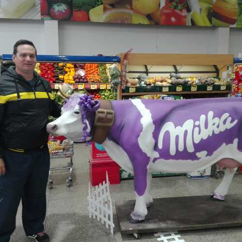 maikif266